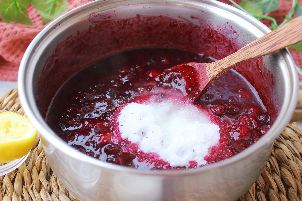 Mermelada sin azúcar de frutos rojos, receta casera para hacer paso a paso  con eritritol