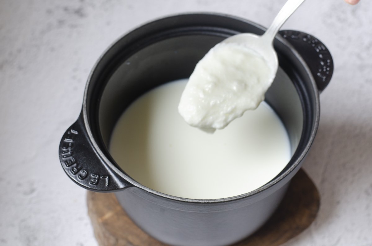 Adicione o iogurte ao leite