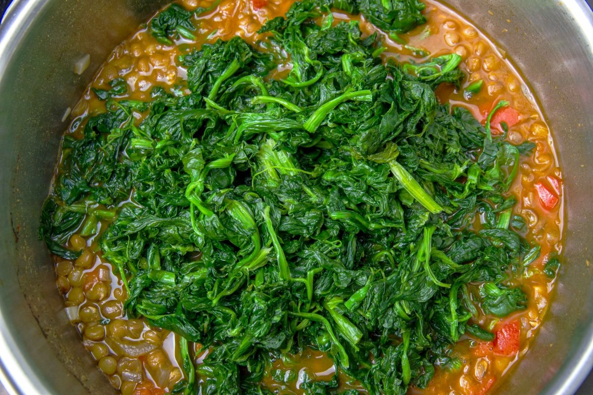 Add the spinach to the lentil stew