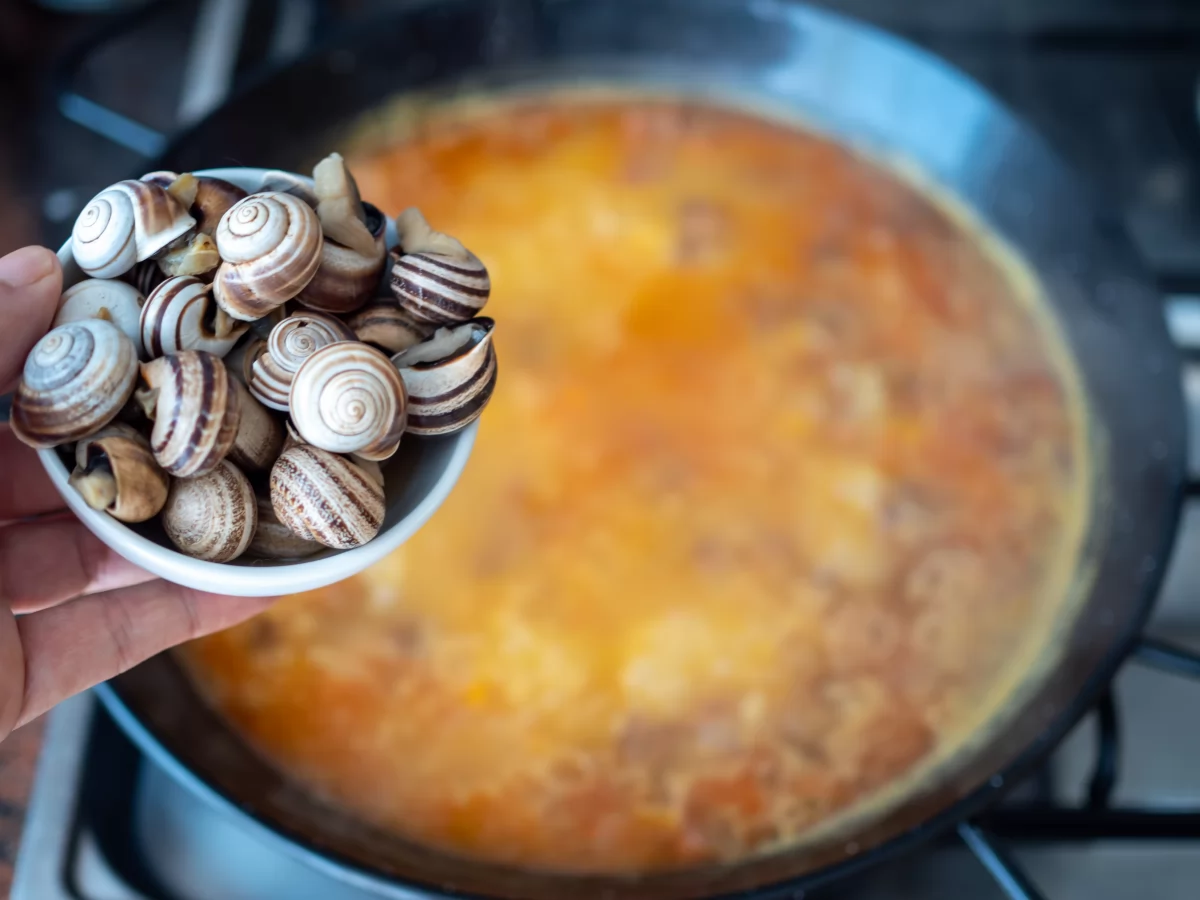 Arroz con caracoles 9 Añadir los caracoles para el arroz con caracoles