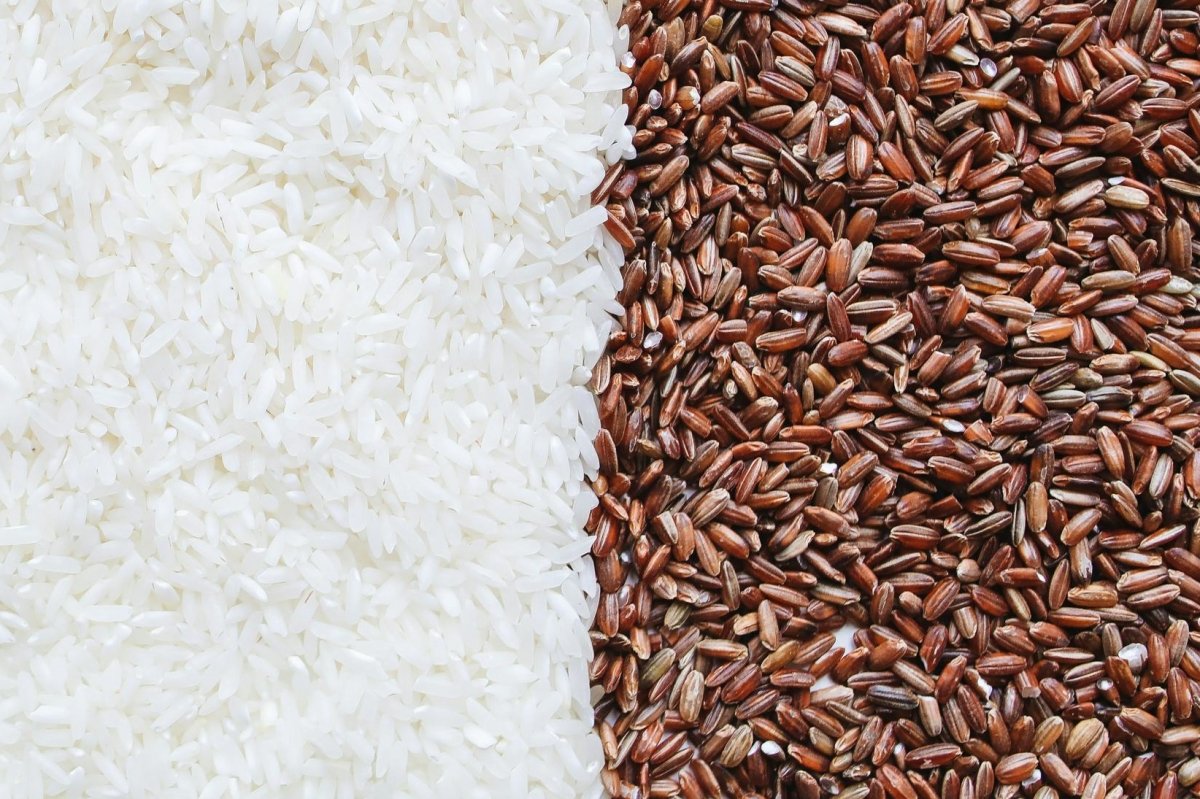 Arroz blanco comparado con arroz integral sin procesar
