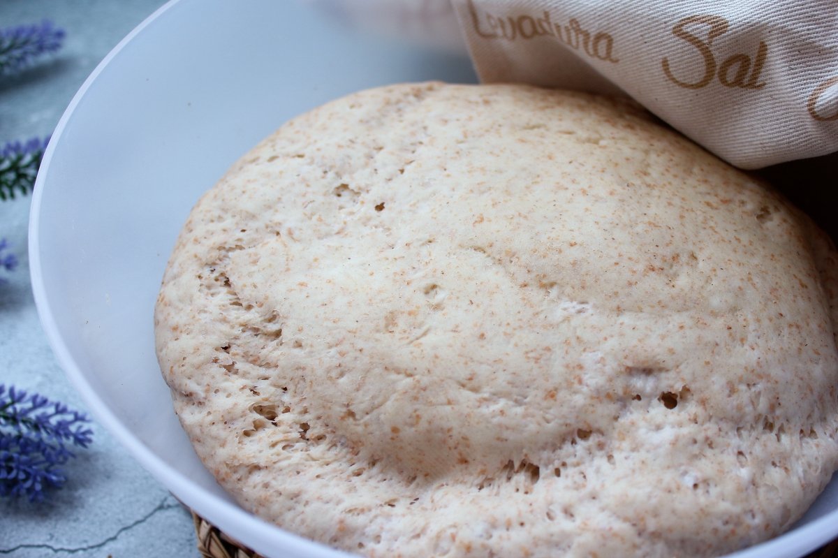 Appearance of the dough of the piadinas after tripling its volume