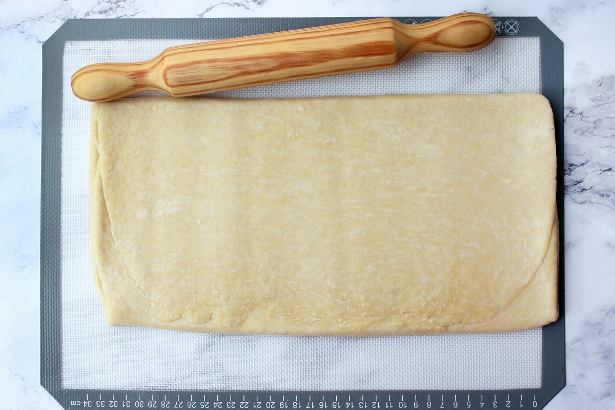 Appearance of the dough after making all the folds
