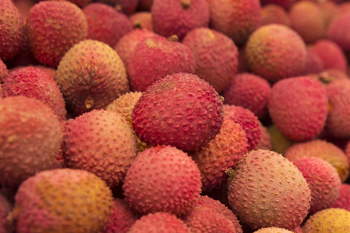 Aspecto exterior de la fruta tropical conocida como lichi