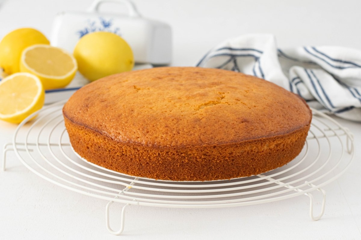 Moist lemon cake recipe with oil