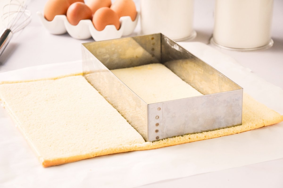 Bizcocho plancha listo para elaboración pastel de capas