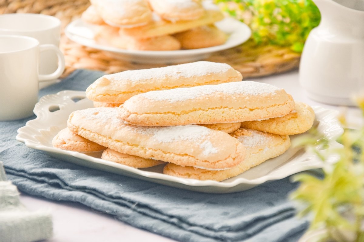 Bizcochos de soletilla sin gluten caseros