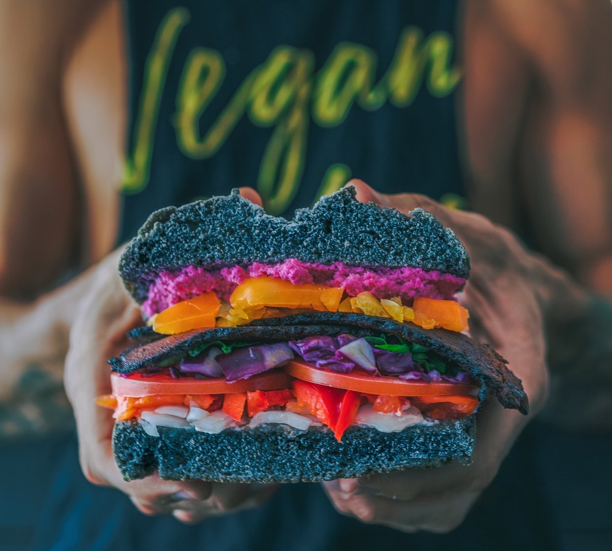 Bocadillo vegano con pan negro y relleno de vegetales variados