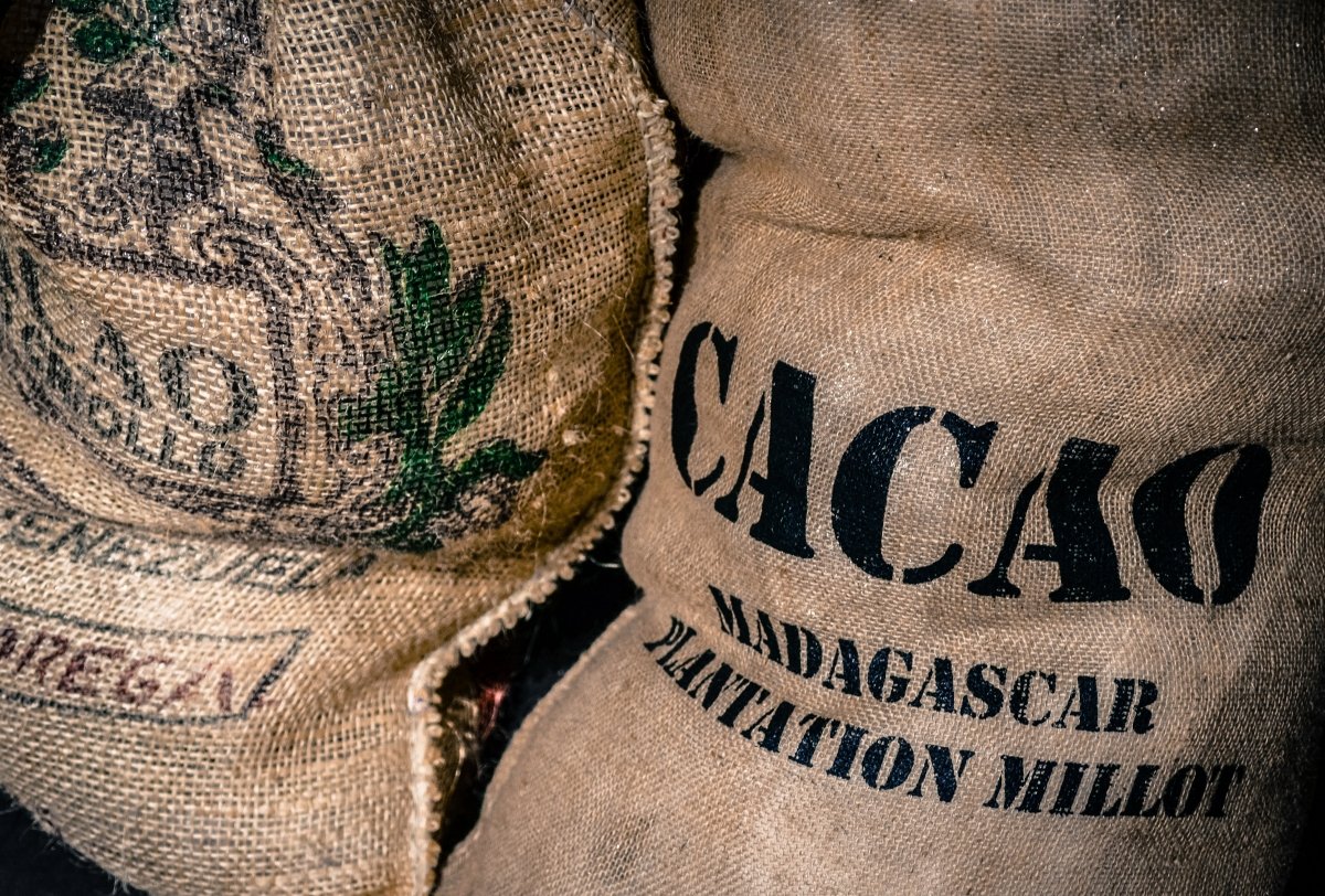Cacao criollo procedente de Madagascar