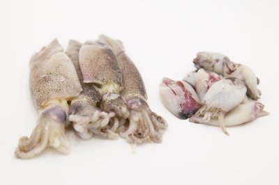 Diferencias entre chipirones y calamares