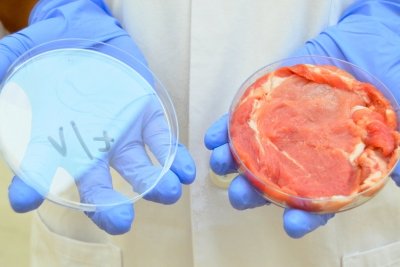 Qué es la carne de laboratorio