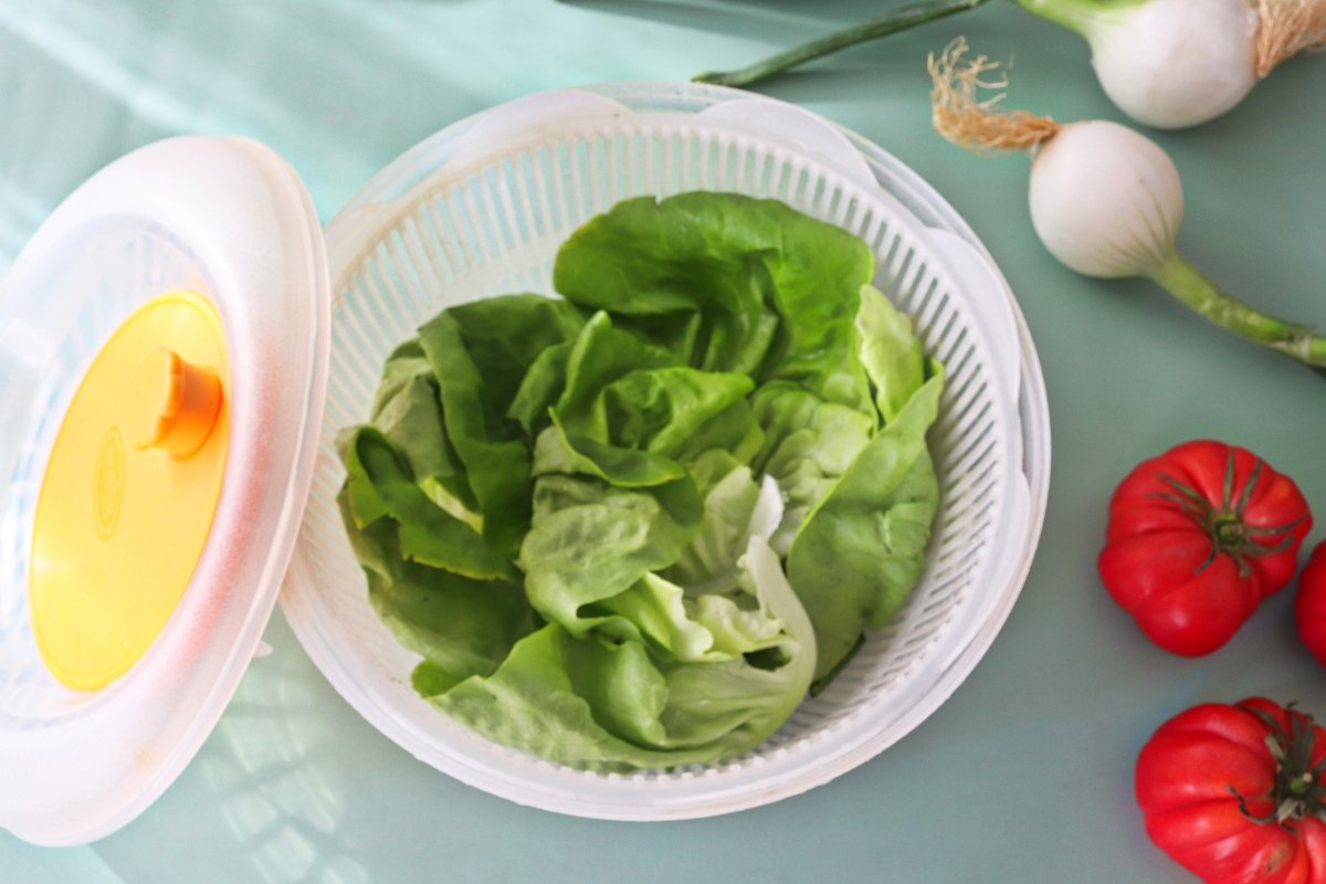 Centrifugar hojas ensalada de lechuga y tomate