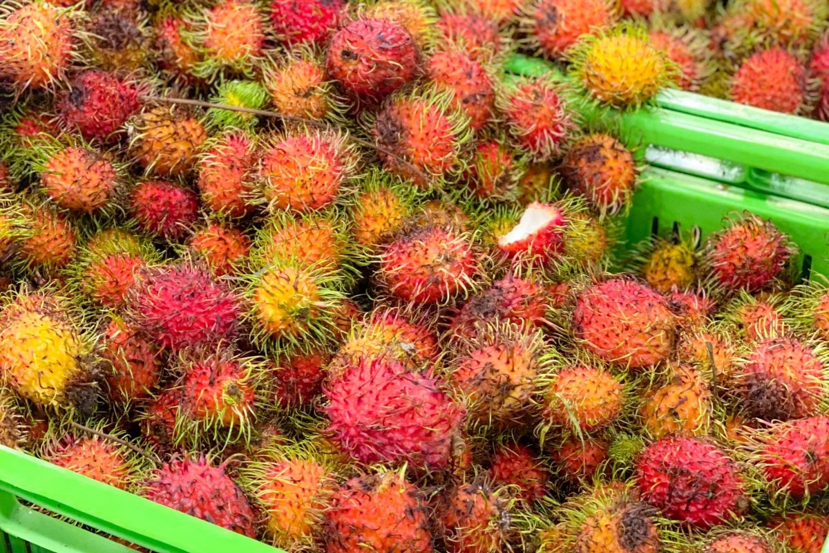 Cesta llena de rambutanes para su comercializacion y venta