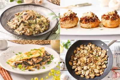 Las mejores recetas con champiñones