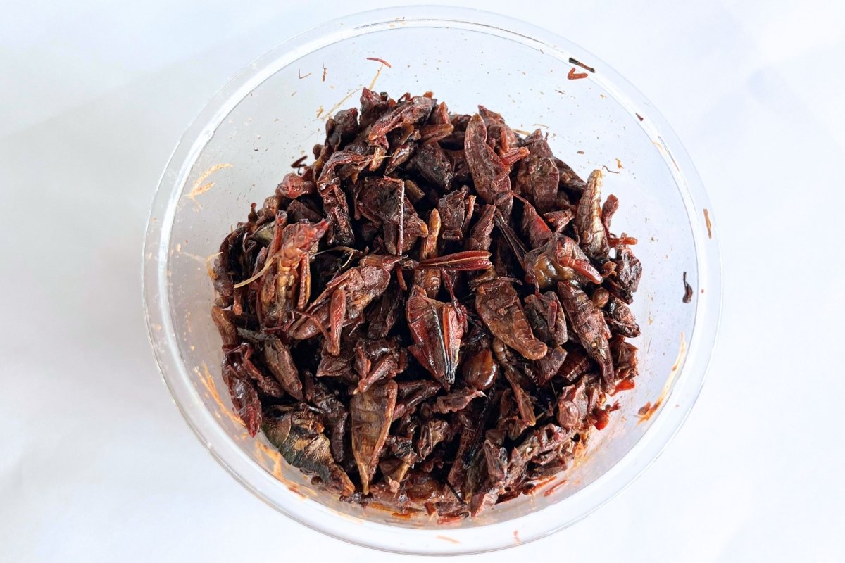 Chapulines o saltamontes fritos consumidos en la gastronomía mexicana