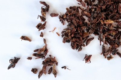 Chapulines: qué son, propiedades y beneficios