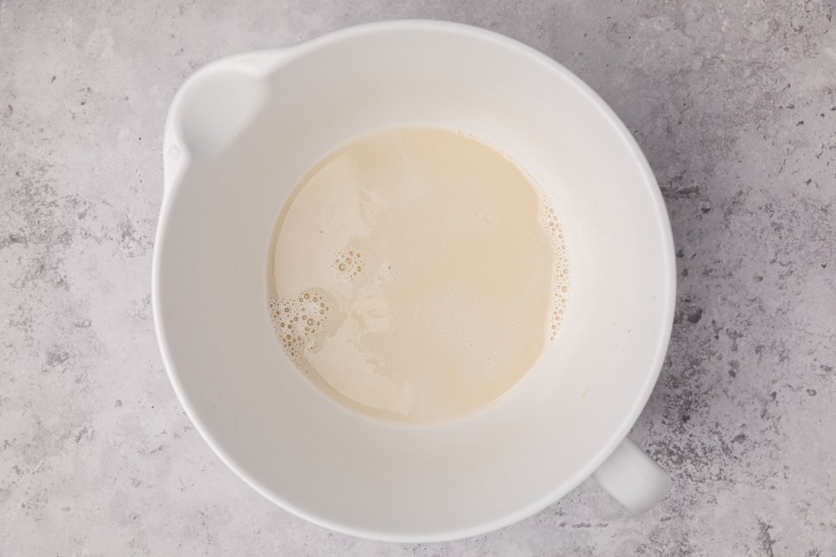 Chufas trituradas y coladas para la horchata en Thermomix