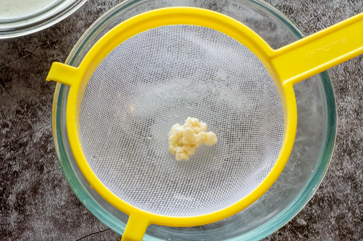 Kéfir de leche 6 Colar y volver a fermentar para activar *