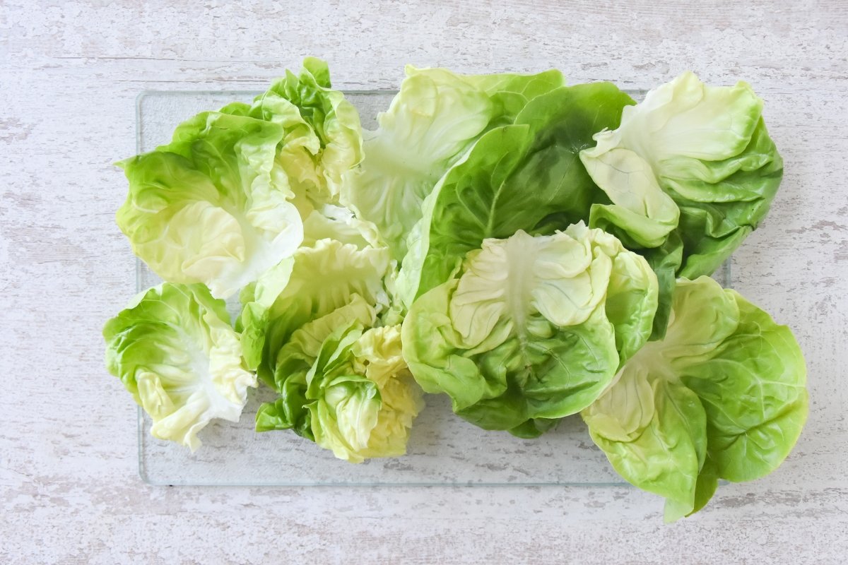 Cortamos la lechuga