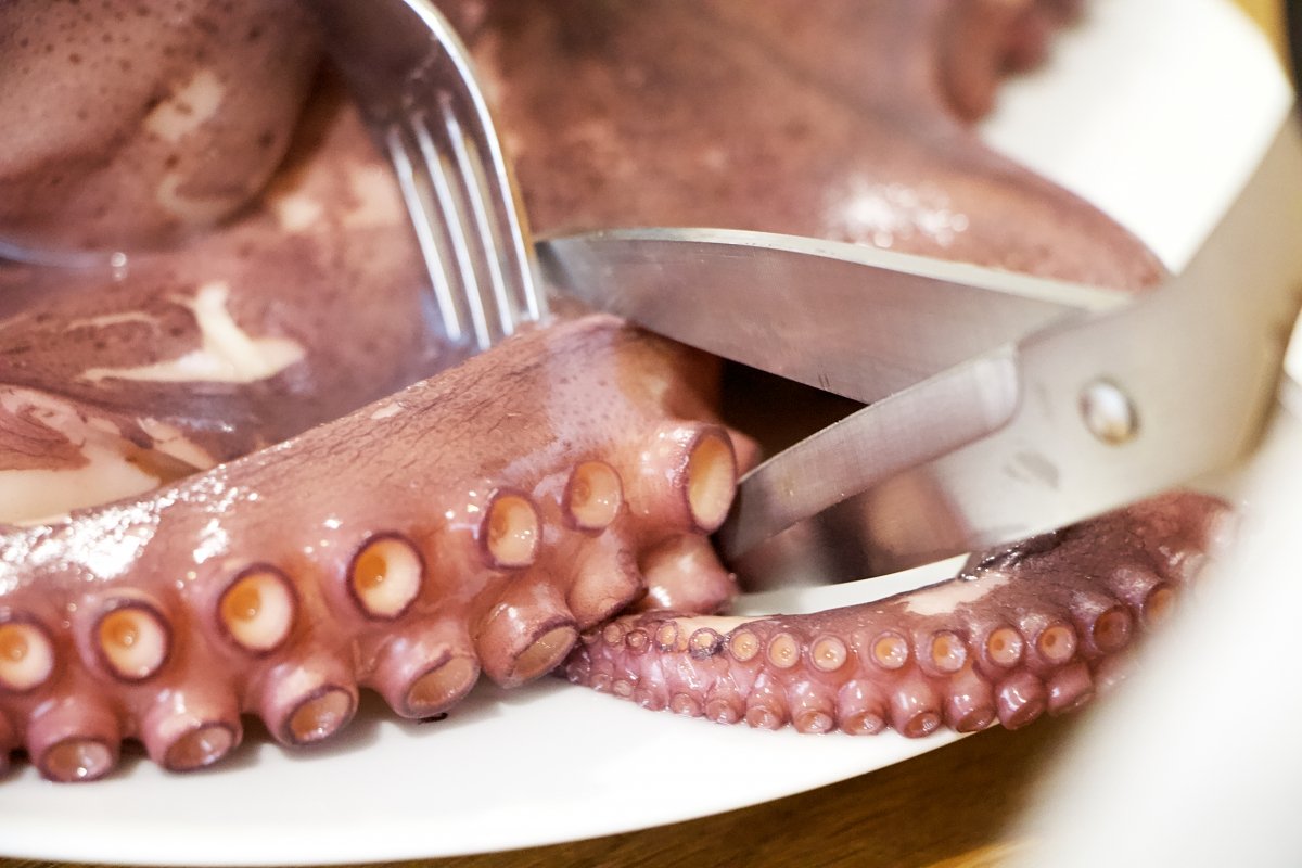 Cut the octopus with scissors