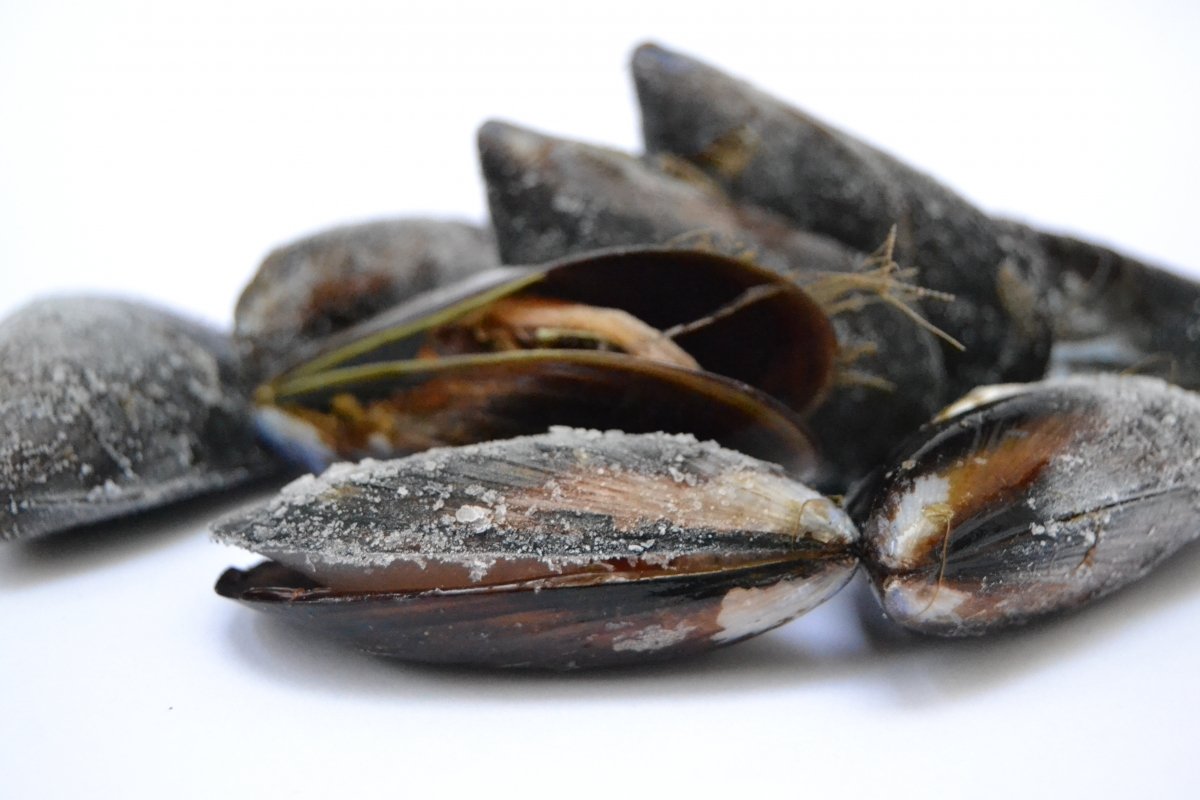 Detalle de un puñado de mejillones congelados