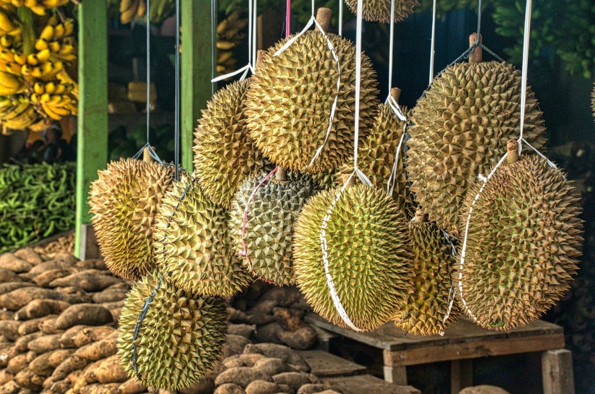 Diferentes frutos de durián expuestos en una tienda asiática