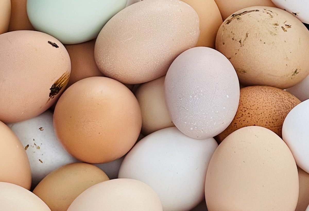 Diferentes huevos que podrían estar defectuosos