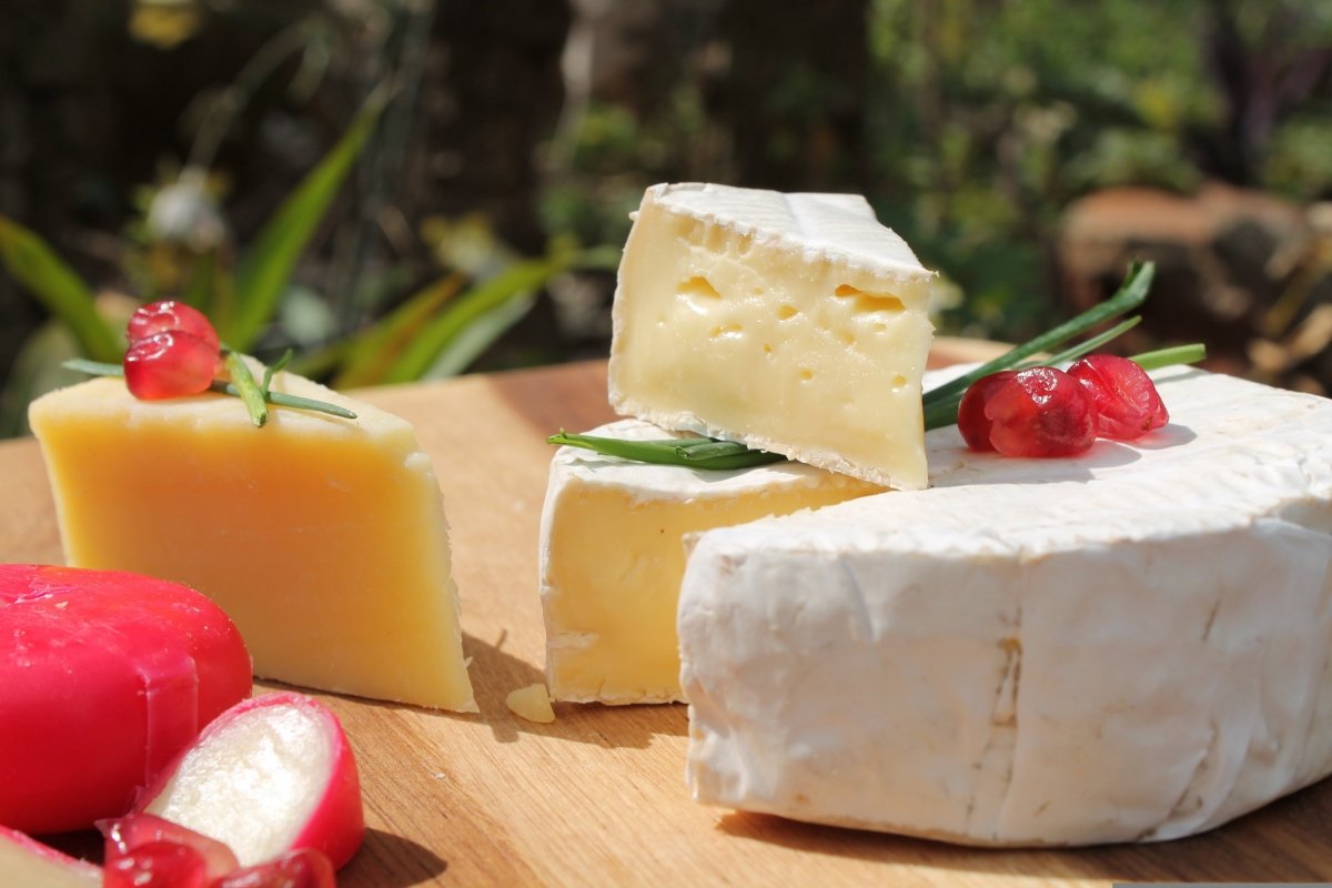 Diferentes quesos con distintos tipos de corteza comestibles