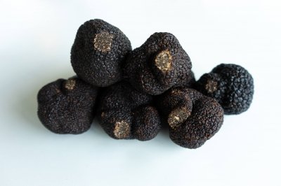 Trufa: qué es, historia, tipos y usos culinarios