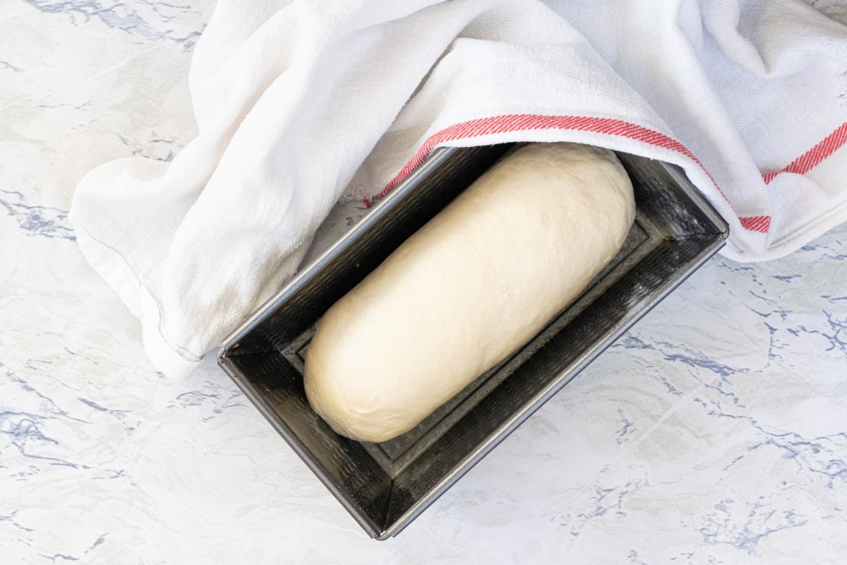 Doblar volumen de la masa para pan de molde