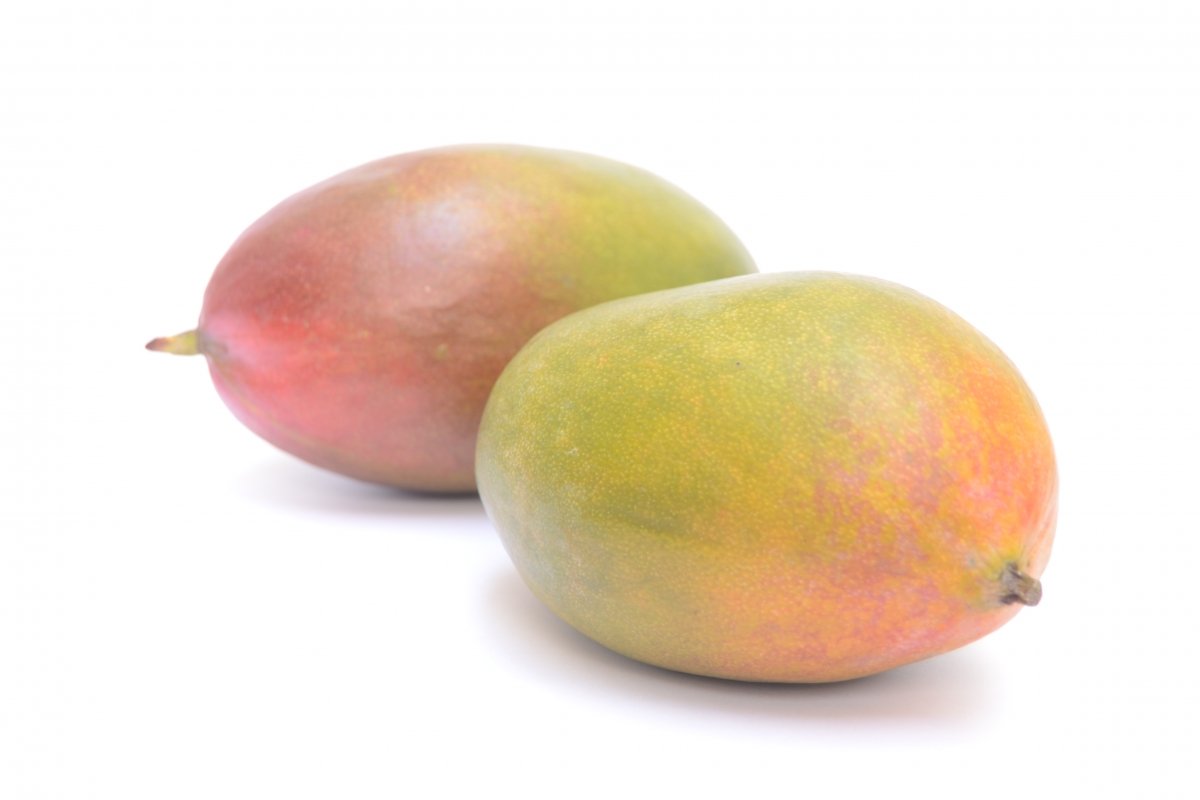 Dos mangos maduros y listos para consumir
