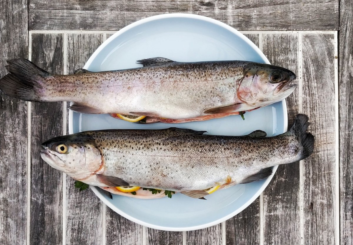 Dos pescados blancos frescos colocados sobre un plato y listos para cocinar