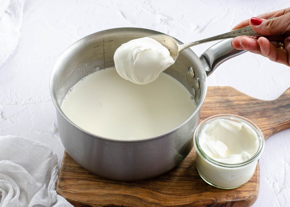 Echando yogur en la leche para hacer yogur griego