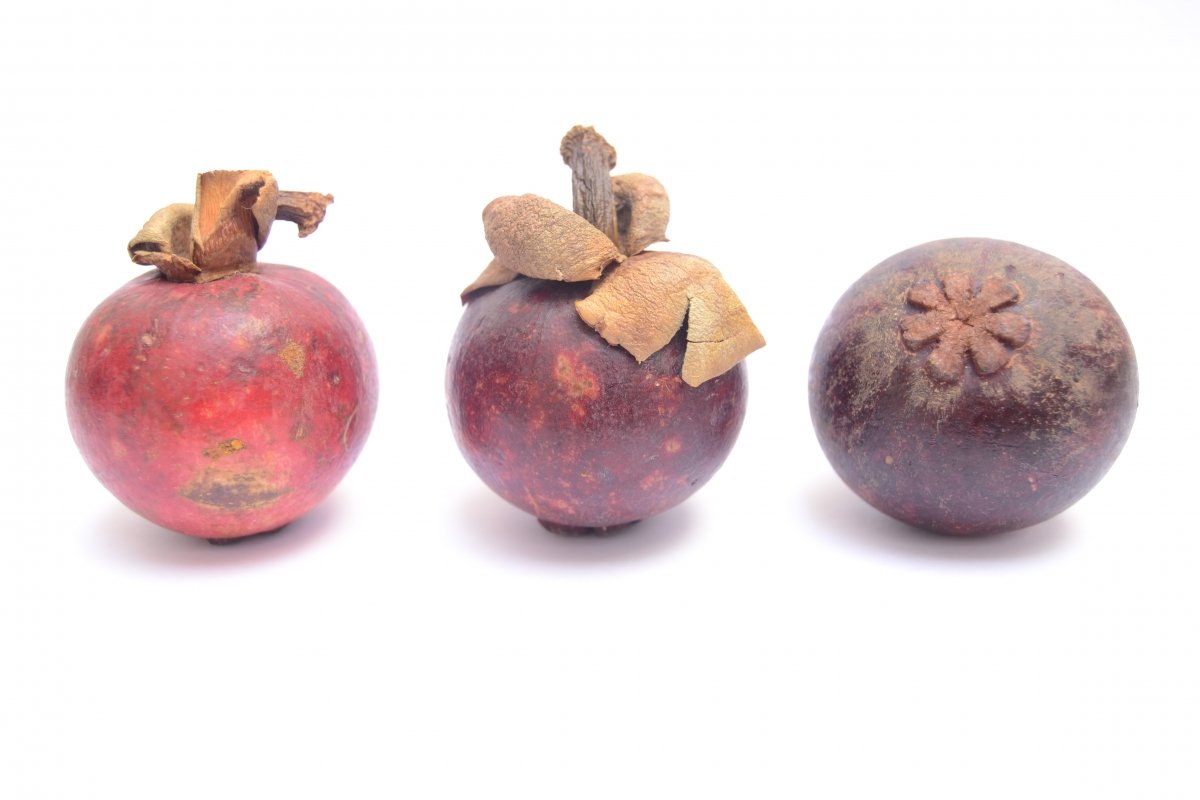El mangostán es conocido como la reina de las frutas