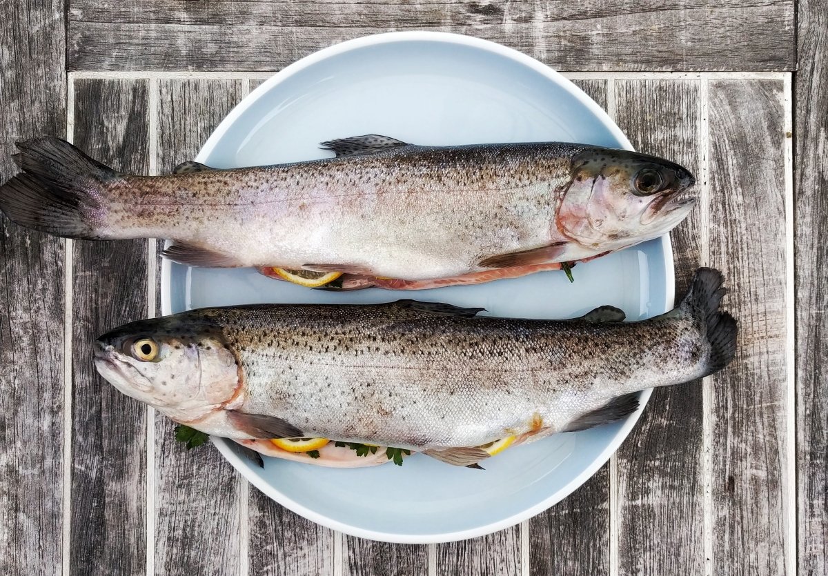 El salmón es uno de los pescados azules más conocidos