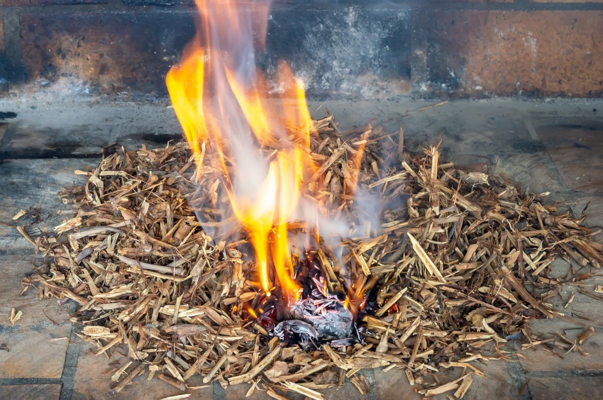 Encender el sarmiento para los calçots a la brasa