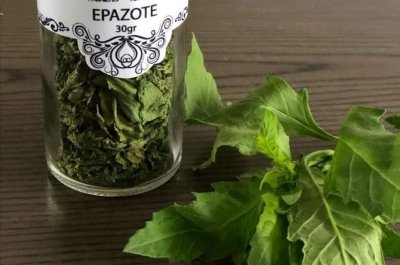 Epazote, el condimento ancestral de México