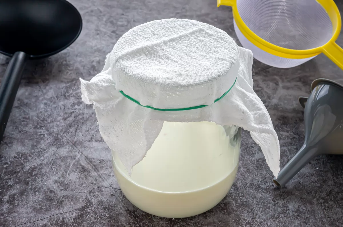 Kéfir de leche 5 Fermentación para activar los búlgaros *