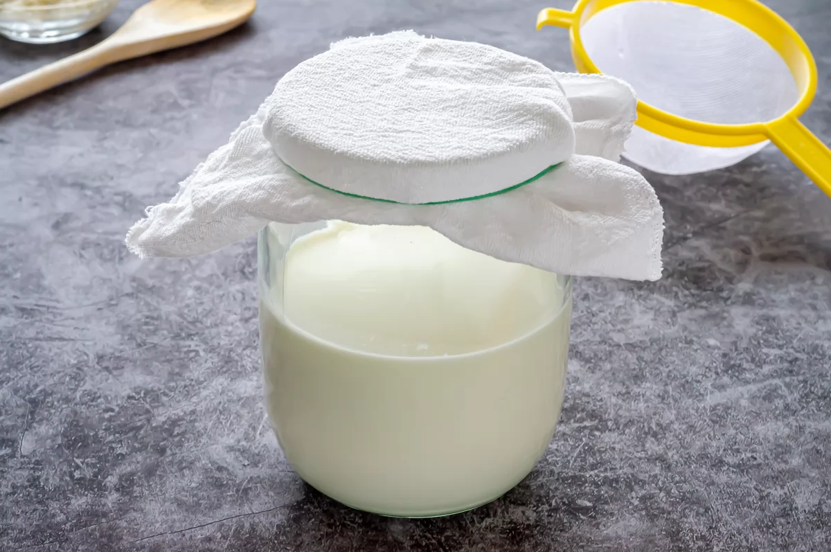 Kéfir de leche 7 Fermentar la leche para hacer kéfir *