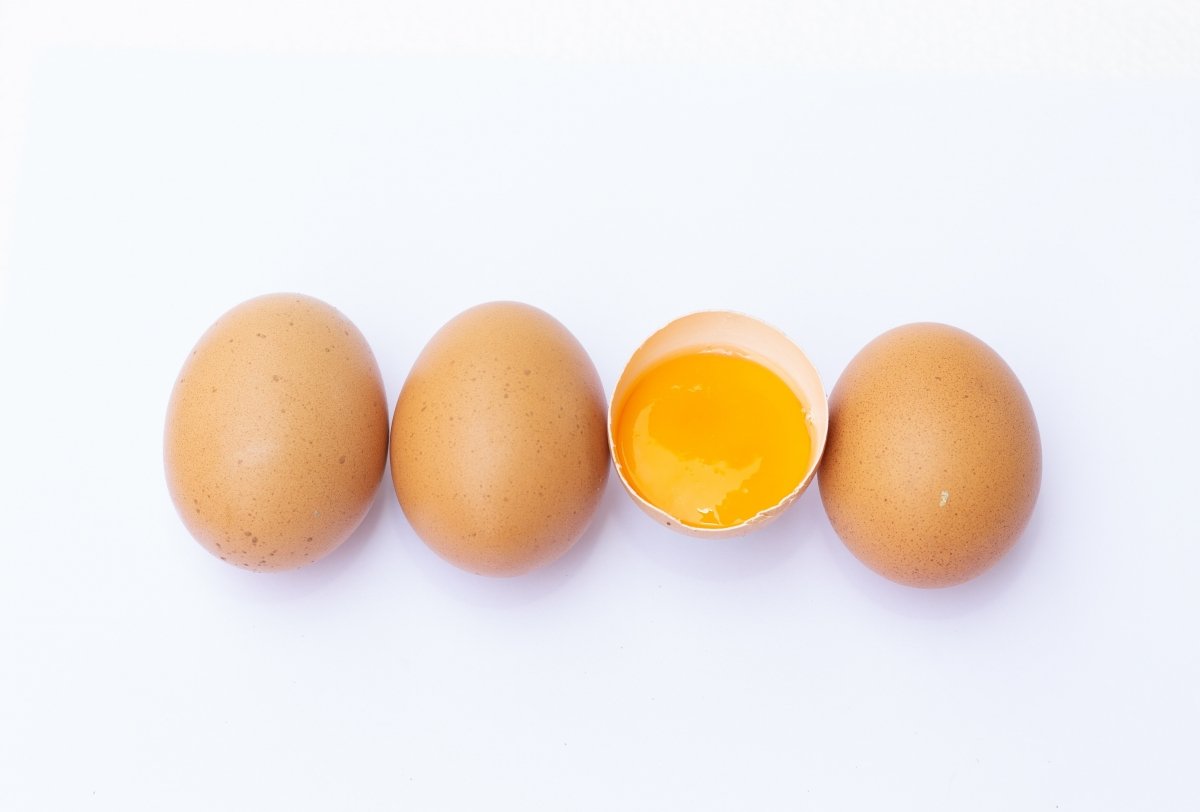 Fila de diferentes huevos fuente de colesterol
