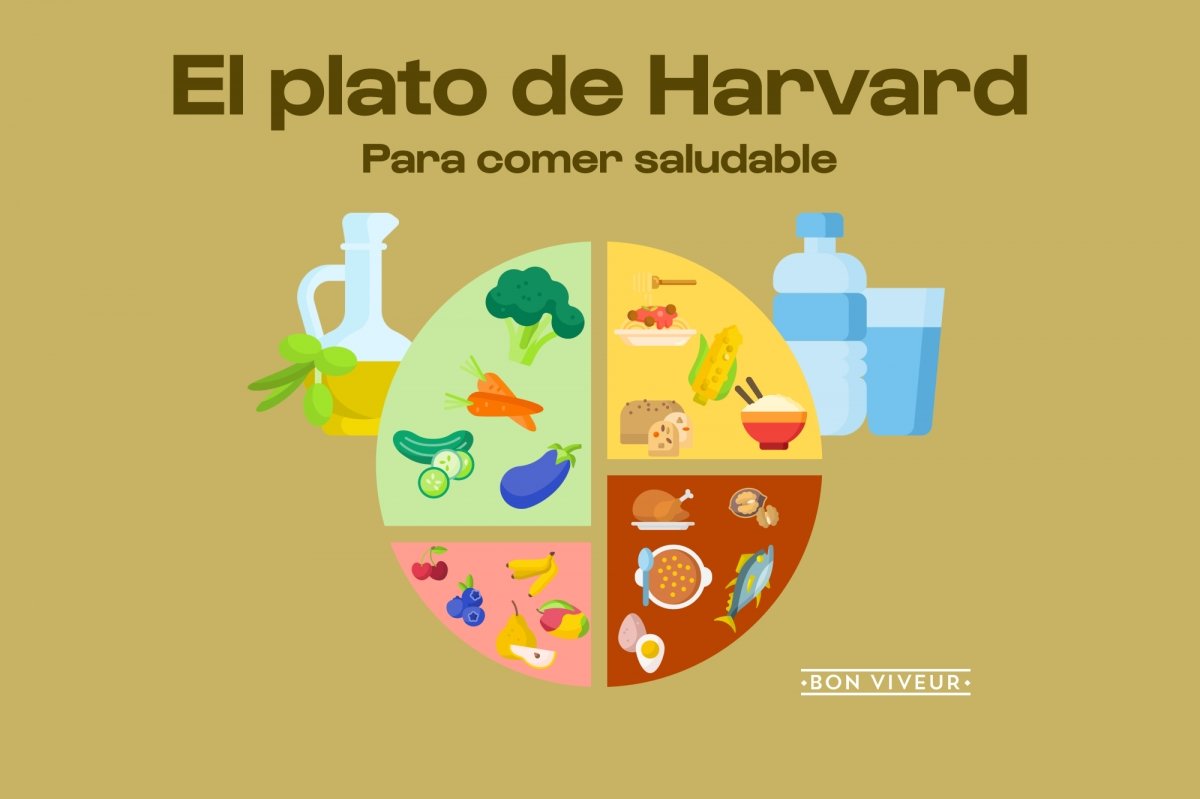 Forma y contenido del Plato Harvard, una de las guías de alimentación más respetadas