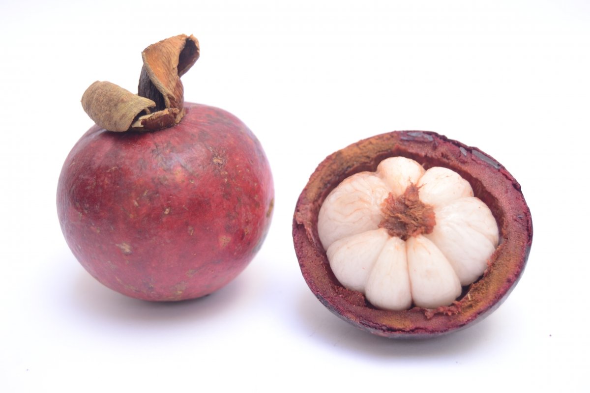 Fruta tropical conocida como mangostán