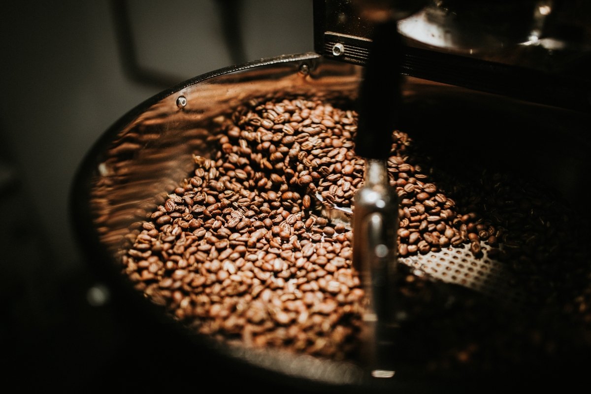 WHAT IS THE DIFFERENCE BETWEEN MEDIUM ROAST AND LIGHT ROAST COFFEE?