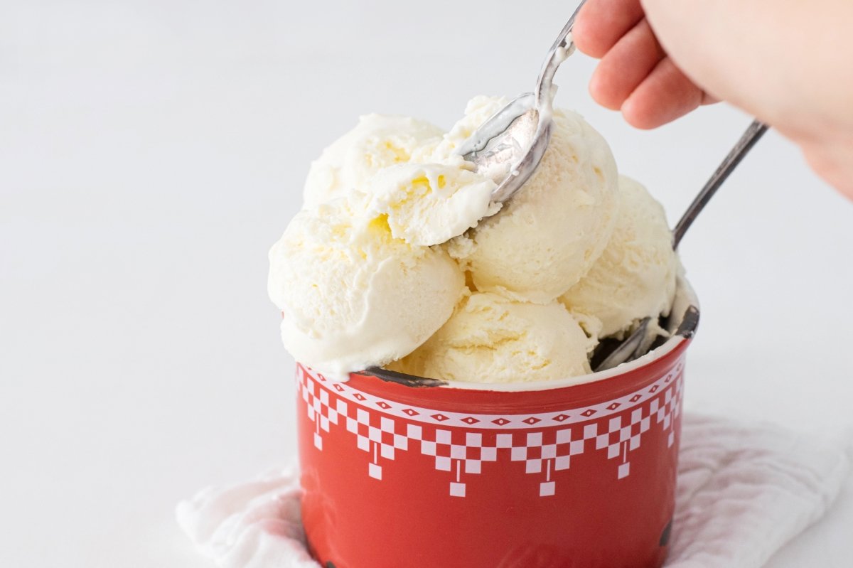 Condensed milk ice cream on the plate