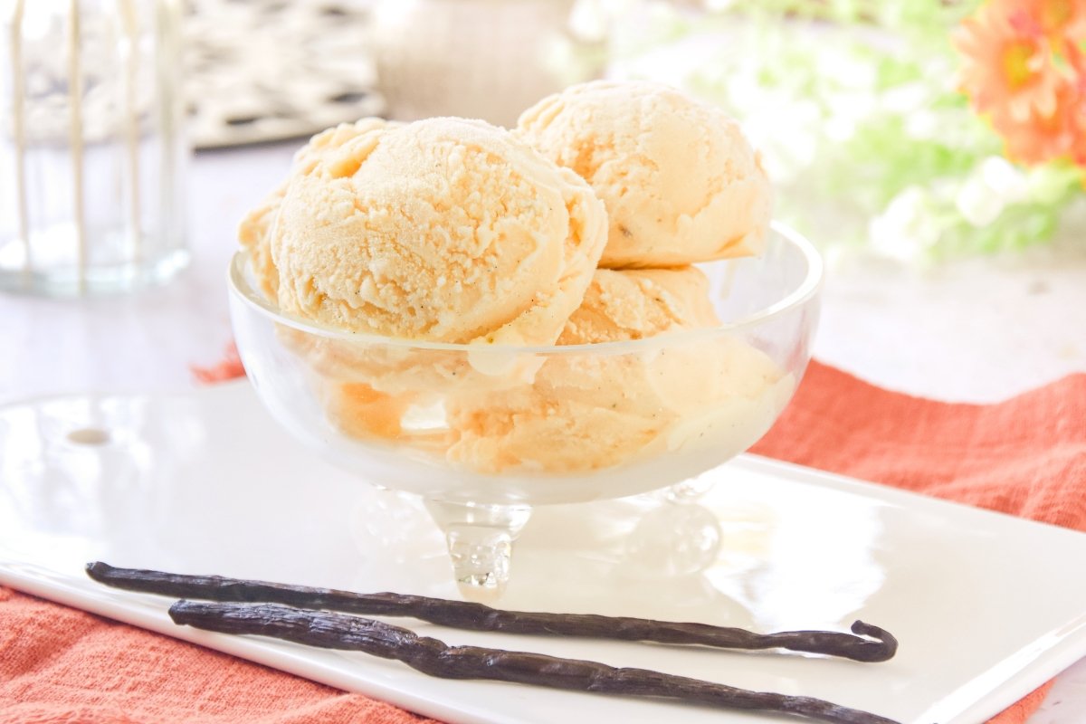 Helado de vainilla recién hecho