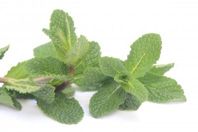 ¿Cuál es la diferencia entre menta y hierbabuena?