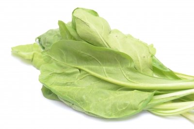 Acelgas: propiedades, beneficios y valor nutricional