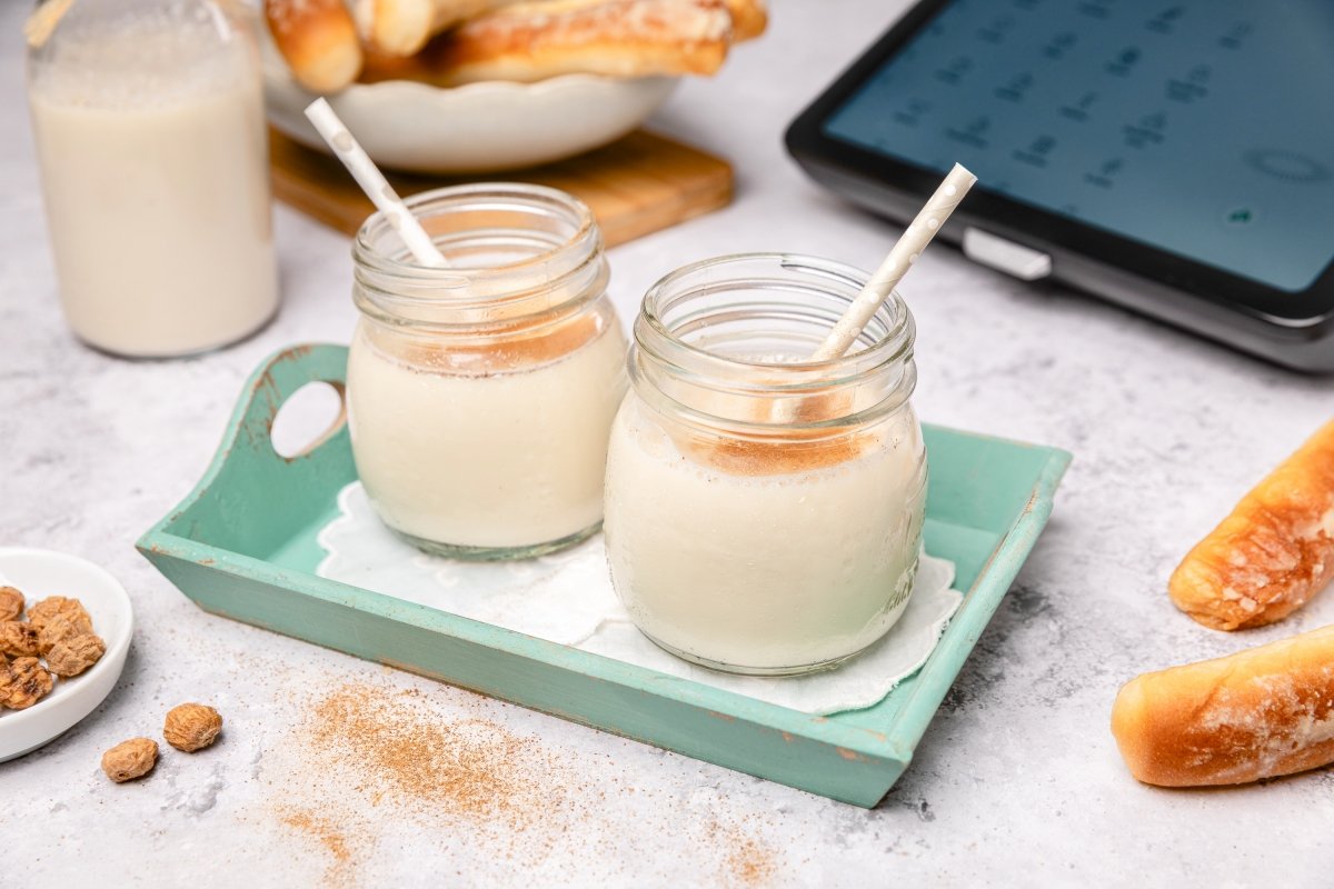 Horchata en Thermomix