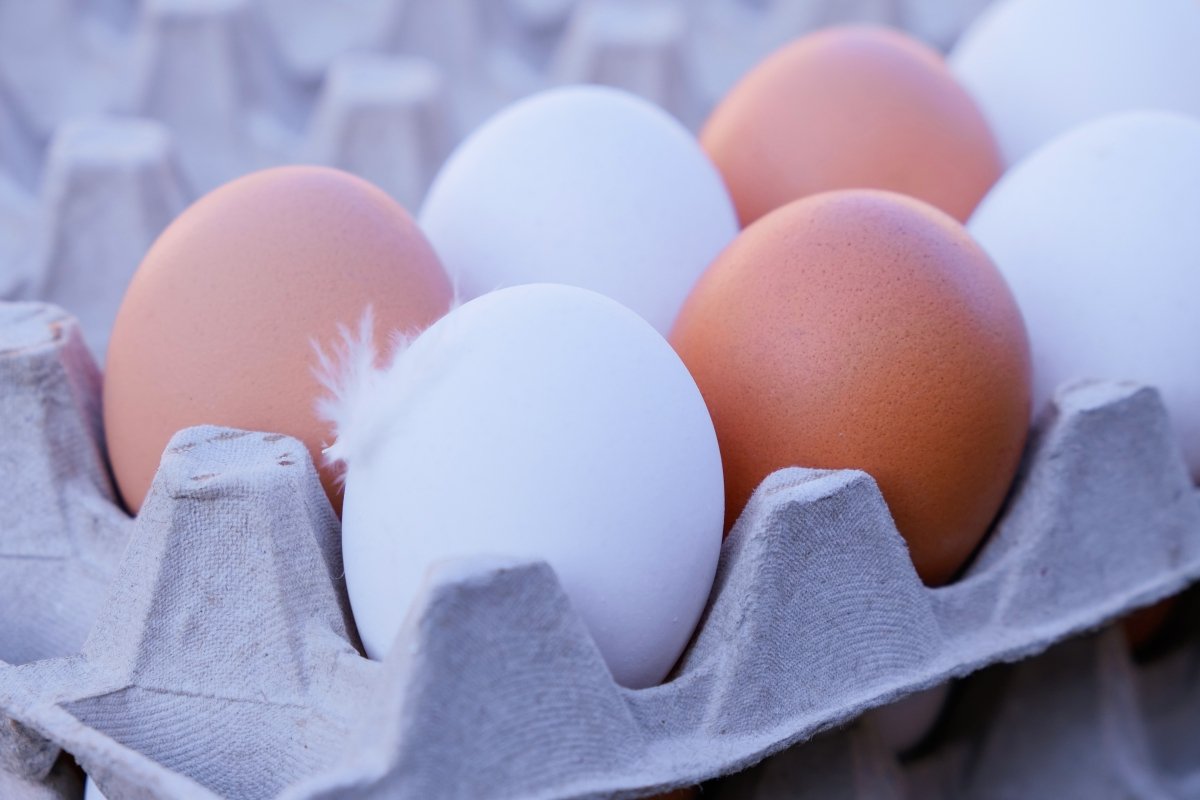 Huevos blancos y marrones en un cartón