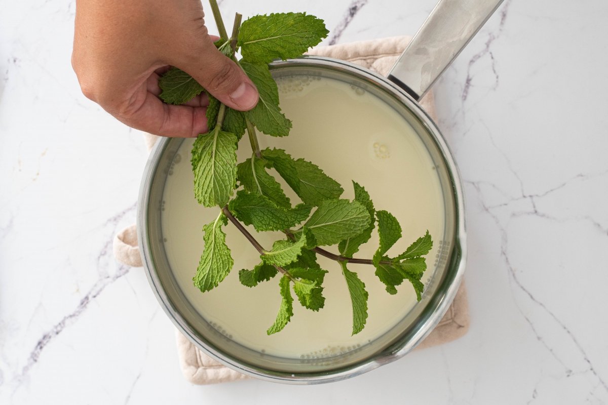 Infusionamos la menta del helado de chocolate y menta